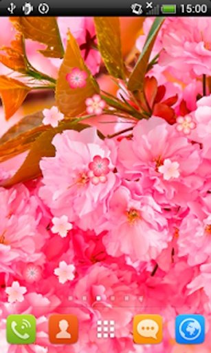 Spring Flowering Live Wallpaper Free截图4