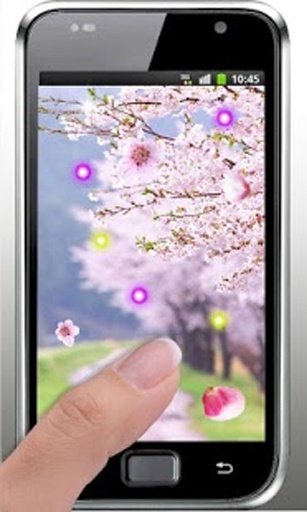 Sakura Free live wallpaper截图3