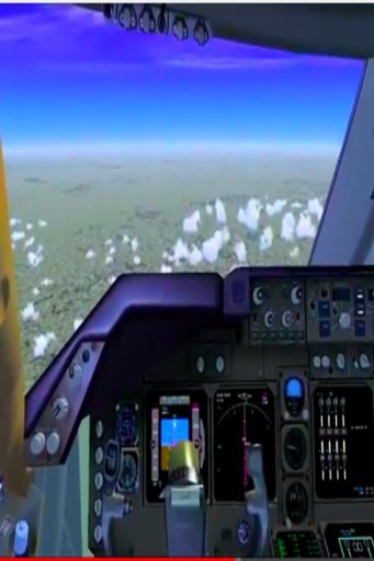 3D Flying Simulator截图2