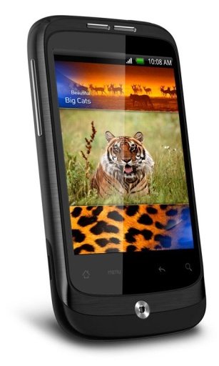 Tiger Queen HD Live Wallpaper截图4