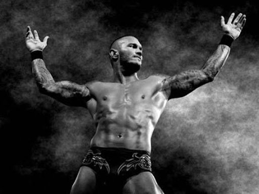 Randy Orton Wallpaper HD截图2