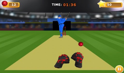 TapCatch Cricket game截图6