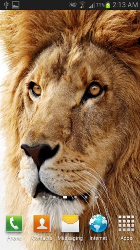 Lion The King Live Wallpaper截图10