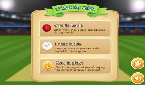 TapCatch Cricket game截图3