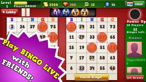 Bingo Vegas 2截图3