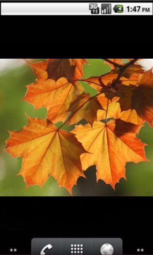 Top10 Autumn wallpaper截图2