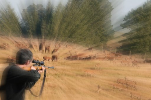 Deer Sniper Hunter截图1