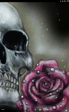 Skull&amp;Rose1 livewallpaper free截图