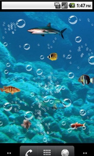 Zen ocean Live Wallpaper截图4