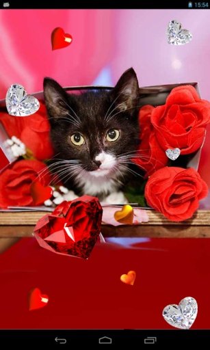 Valentine Kitties 2014 HQ LWP截图2