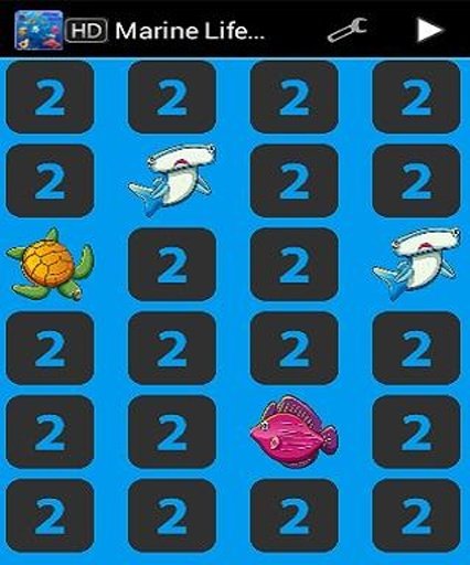 Marine Life Memory Games截图3