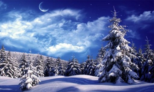 Winter wallpapers +100截图1