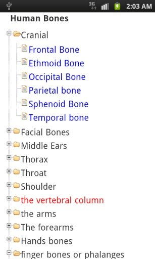 Human Bones learn free截图5