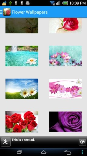 Flower Wallpapers截图10