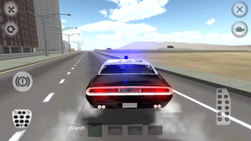 Muscle Police Car Driving截图6