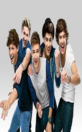 One Direction Fans Games截图2