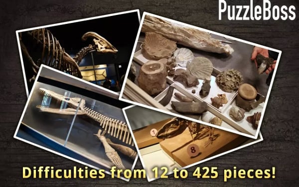 PuzzleBoss: Dinosaur Fossils截图1