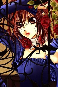 Vampire Knight Wallpaper截图