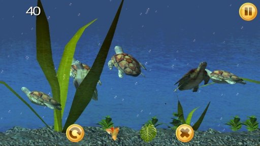 Sea Turtle Aquarium 3D截图1