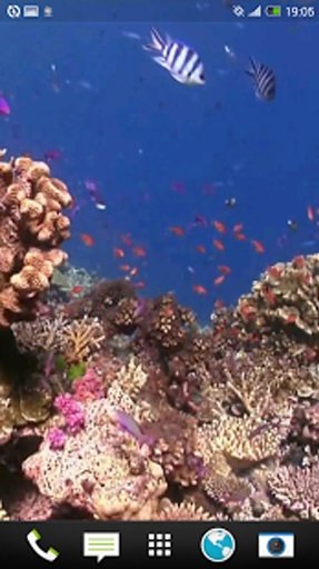 Marine Aquarium HD截图1