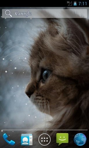 Kitty and Snow Live Wallpapers截图5