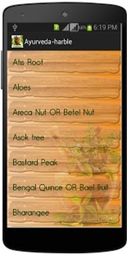 Ayurvedic Herbal Remedies截图4