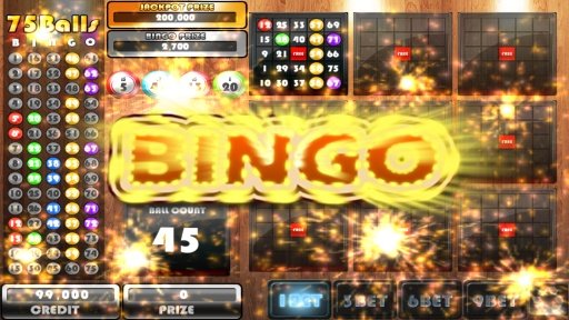 75Bingo截图4