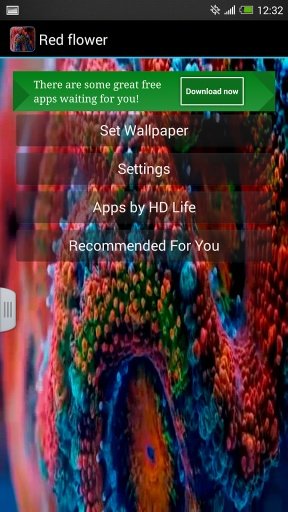 Red flower截图3