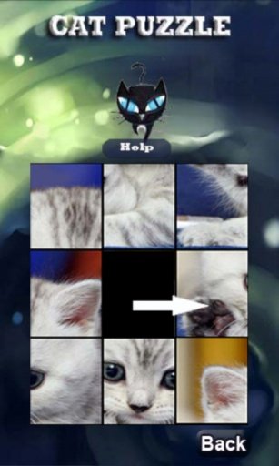 Real Cat Puzzle截图4