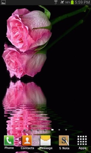 Pink Roses Live Wallpaper截图3