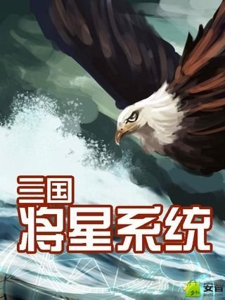 三国将星系统截图1