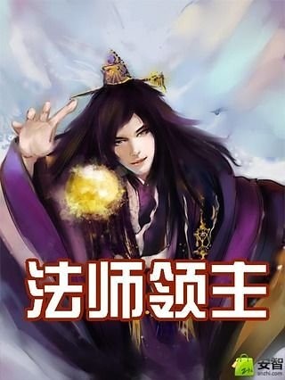 法师领主截图3