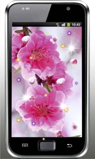 Sakura China HD live wallpaper截图1