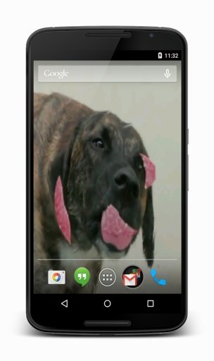 Dog Licks Screen Live Wallpaper截图3