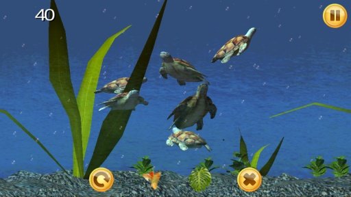 Sea Turtle Aquarium 3D截图6