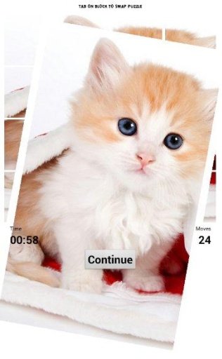 Baby Cat Puzzle截图9