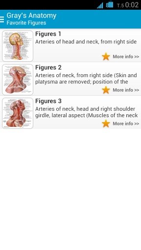 Human Anatomy System截图2