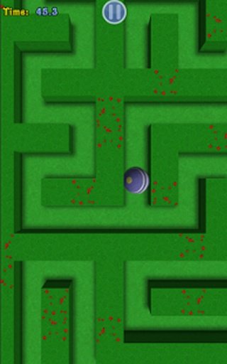 Super Maze Puzzler Deluxe截图5