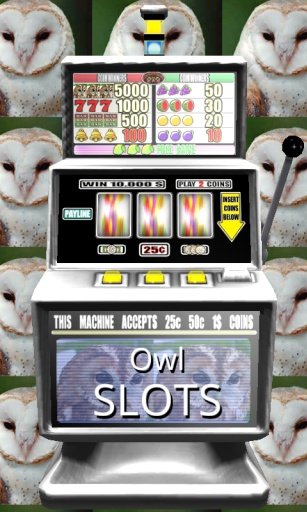 Owl Slots - Free截图2