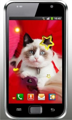 Valentine Kitty live wallpaper截图2