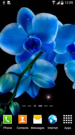 Orchids Live Wallpaper截图4