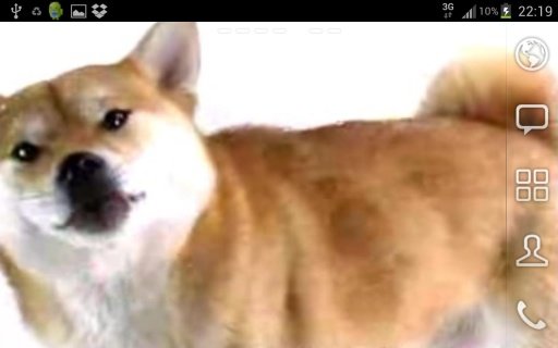 Dog Screen Cleaner Live Wallpaper截图1