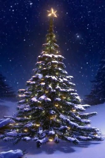 Christmas Tree 3D Wallpaper截图2