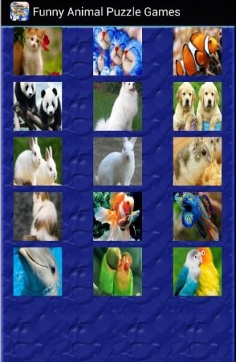 Funny Animal Puzzle Games截图5