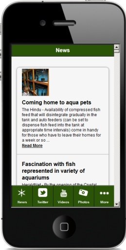 Aquariums For Beginners截图5