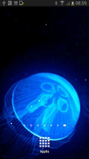 Night Light Jelly Fish LWP截图3