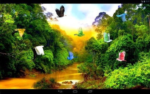 Forest River Live Wallpaper截图5