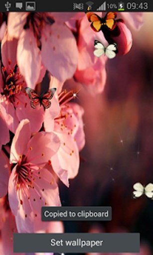 Sakura 2015 Live Wallpaper截图4