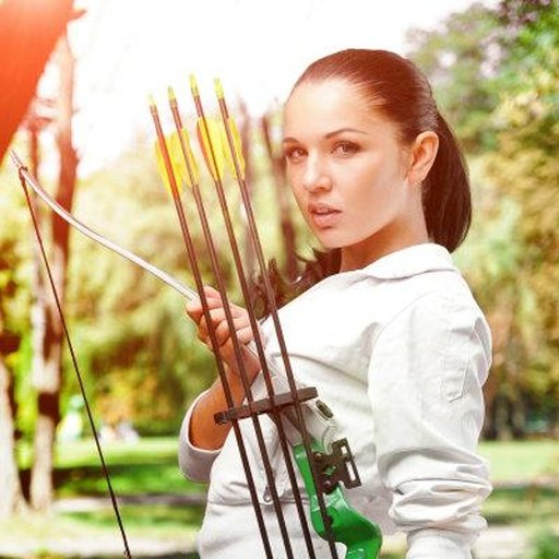 Archery Game 3D截图7