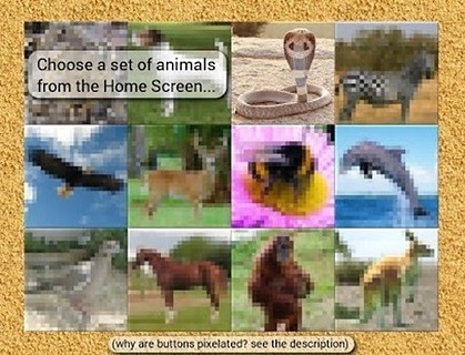 Toddler Animal Sounds截图2